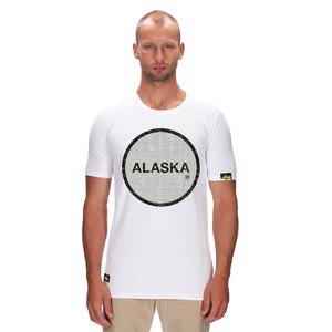 ALASKA LOGO 1 ARMY