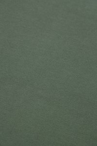 LEWIS REGULAR OLIVE BLANK T-SHIRT